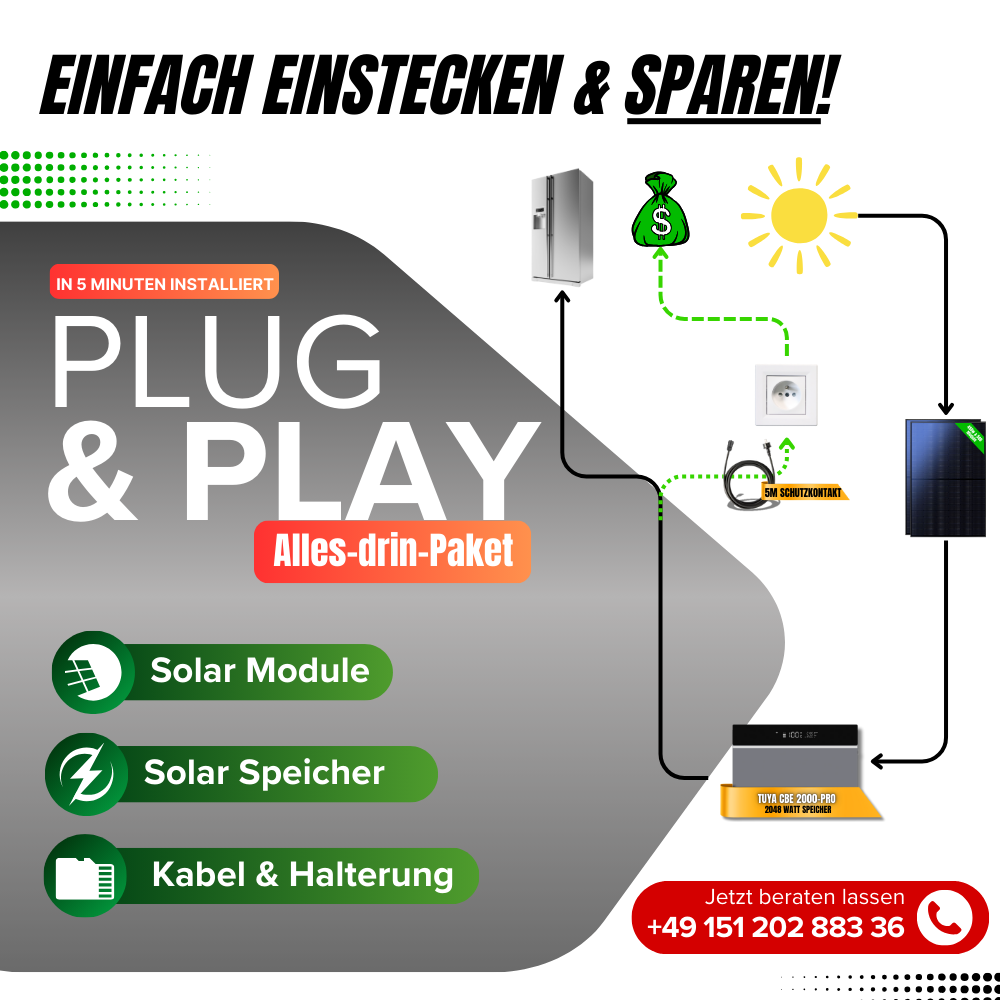 900W Balkonkraftwerk Tuya mit 2kWh Speicher (2 x 450w Module + 2kWh Speicher CBE 2000 Pro)